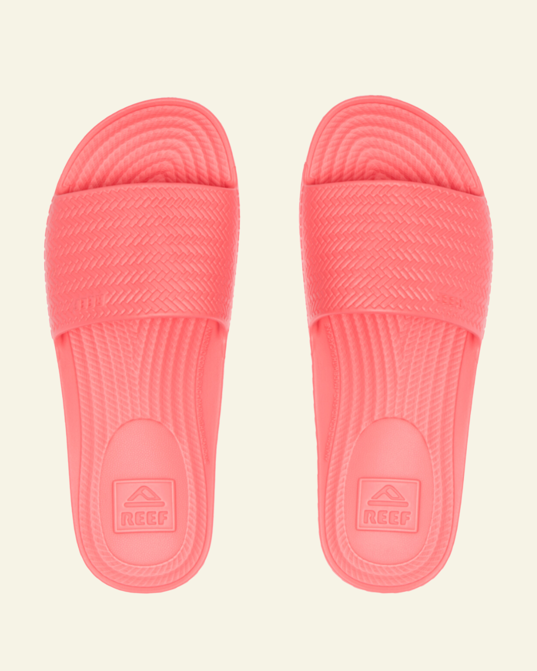 Reef | Water Scout | Sunset