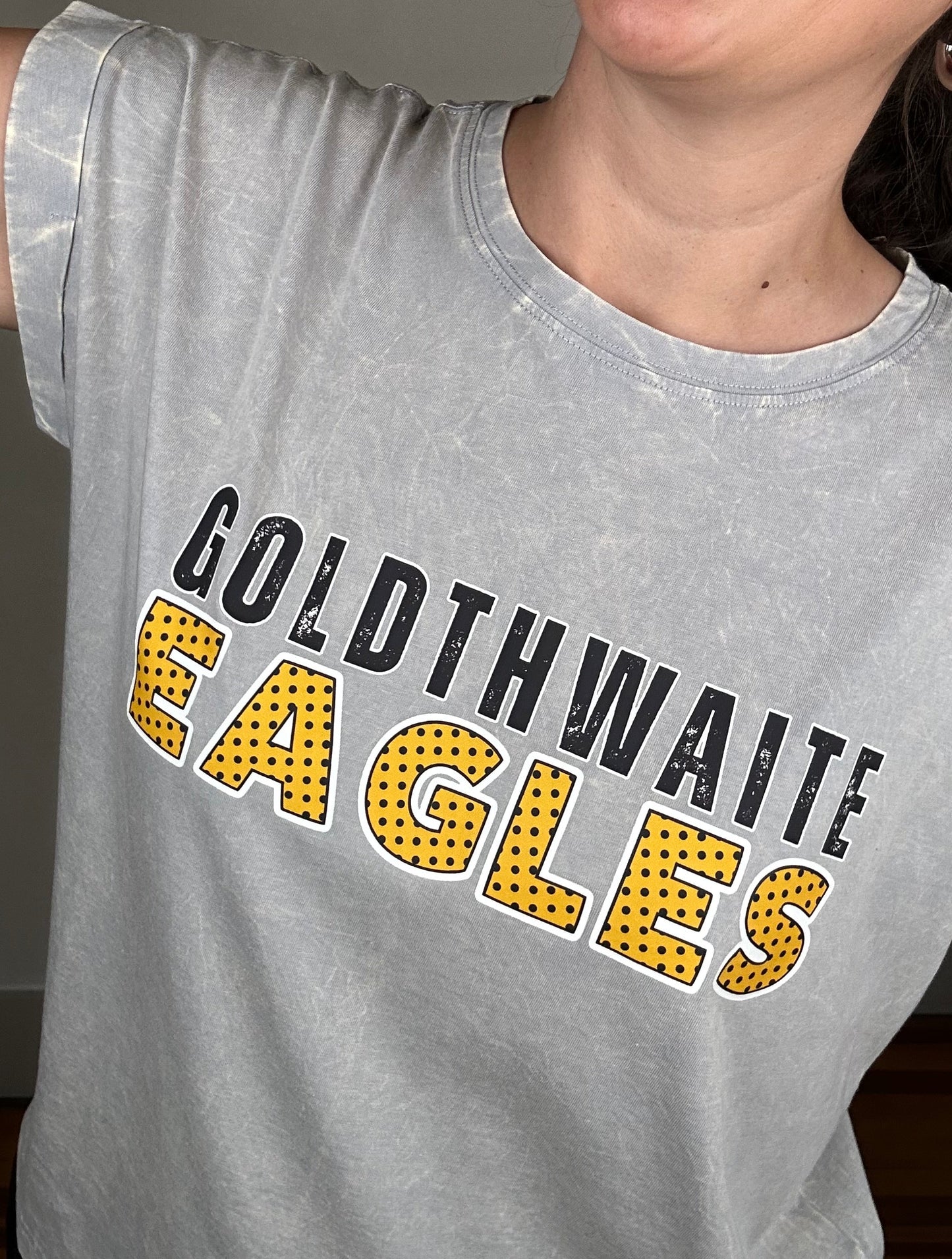 Game Day Crinkle Wash Tee | Goldthwaite Eagles | Light Grey
