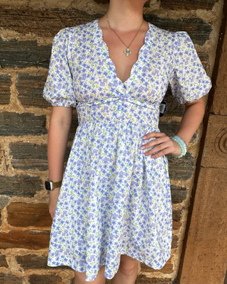 Dainty Floral Mini Dress | Blue + Multi