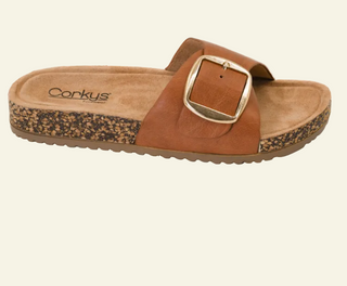 Brown sandal with a gold buckle on a white background